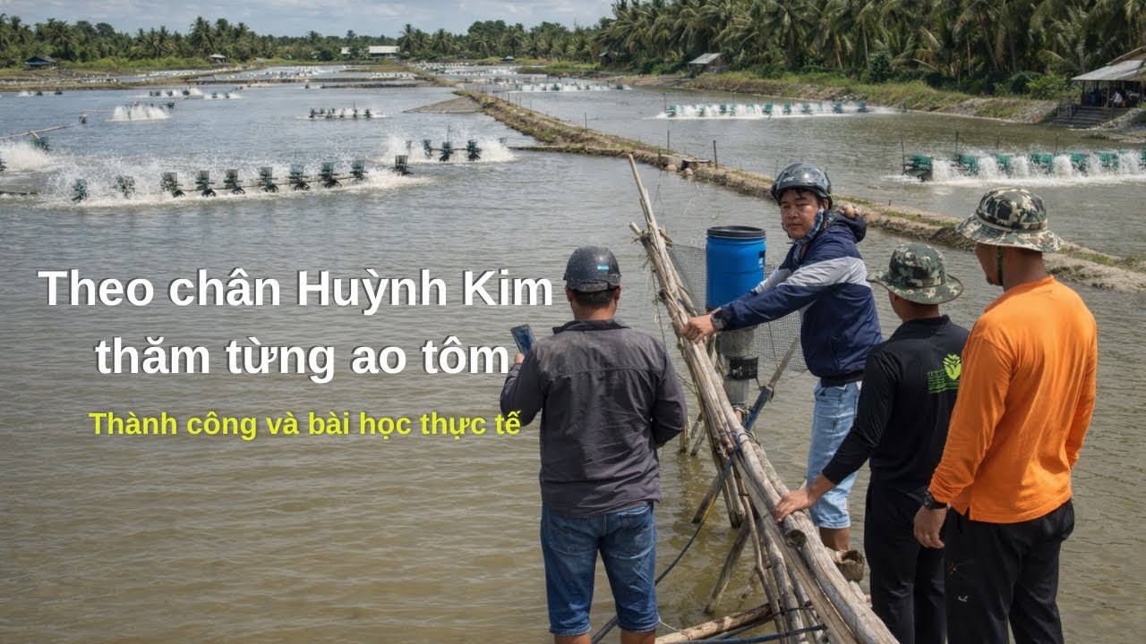 Theo chân HUỲNH KIM thăm từng ao tôm