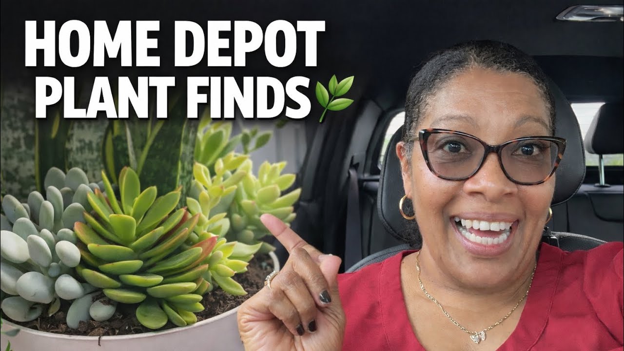 Находки растений из Home Depot 🌿 | Суккуленты, кактусы и то, что я принесла домой
