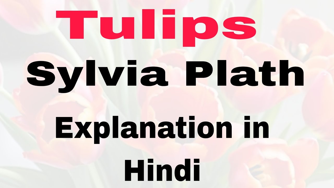 Tulips poem | Sylvia  Plath | line by line Explanation  🌷🌷