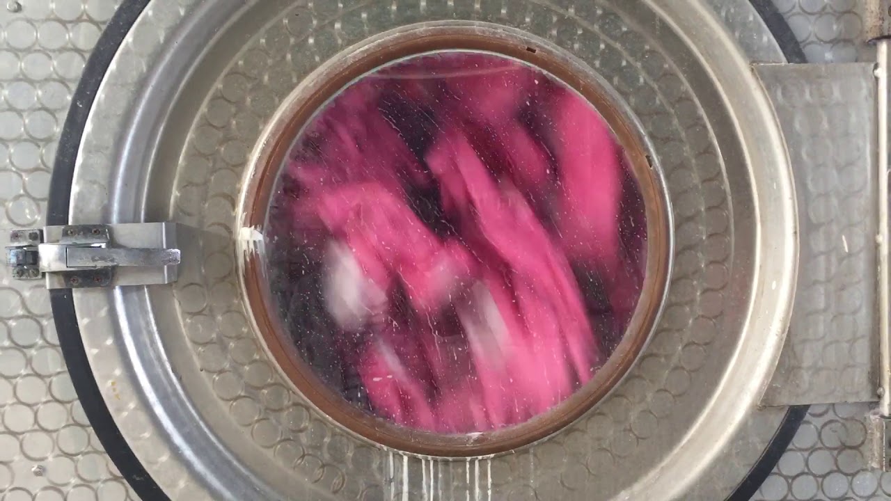 Rubber gloves are drying