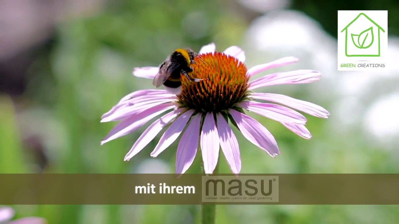 masu Blumenkastenhalterung für jede Fensterbank, ohne Bohren oder Sägen