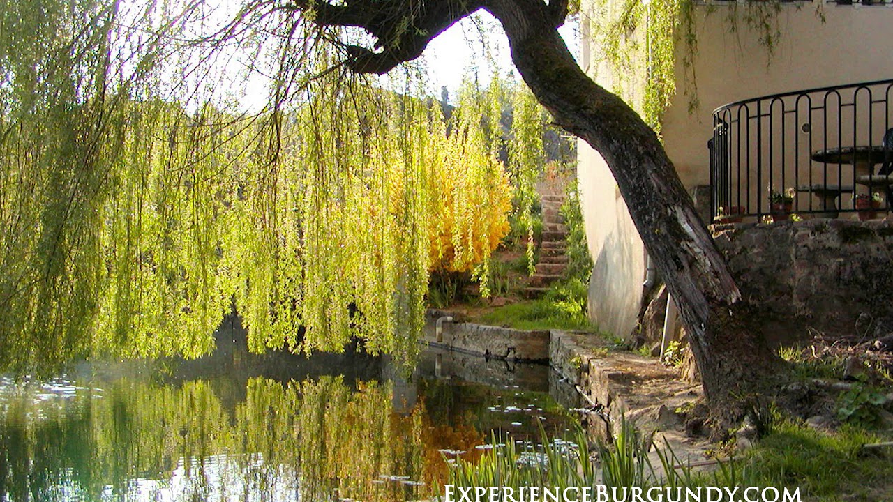 Relaxing Afternoon in a French Countryside Town - Birdsong - Ambience - Calming White Noise