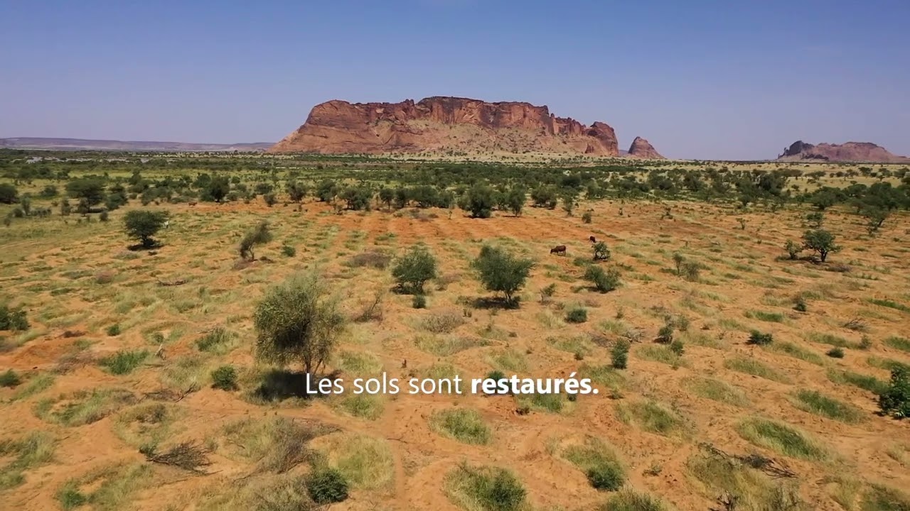 Barrages pour l’Avenir : Cultiver la Résilience en Mauritanie