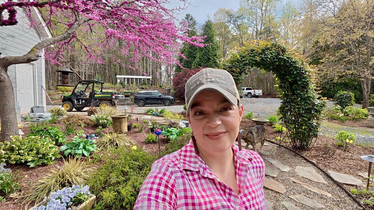Adding More Color & Texture to My Favorite Shade Garden