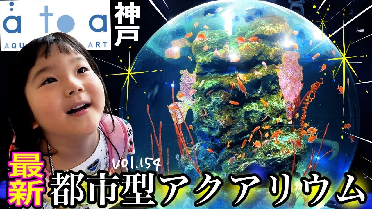 「アトア」全施設レポート🐠美術館のような水族館átoa子供も喜ぶ！【ママさん似顔絵師Bon vol.154】神戸観光/ハーバーランド/元町観光/神戸ランチ