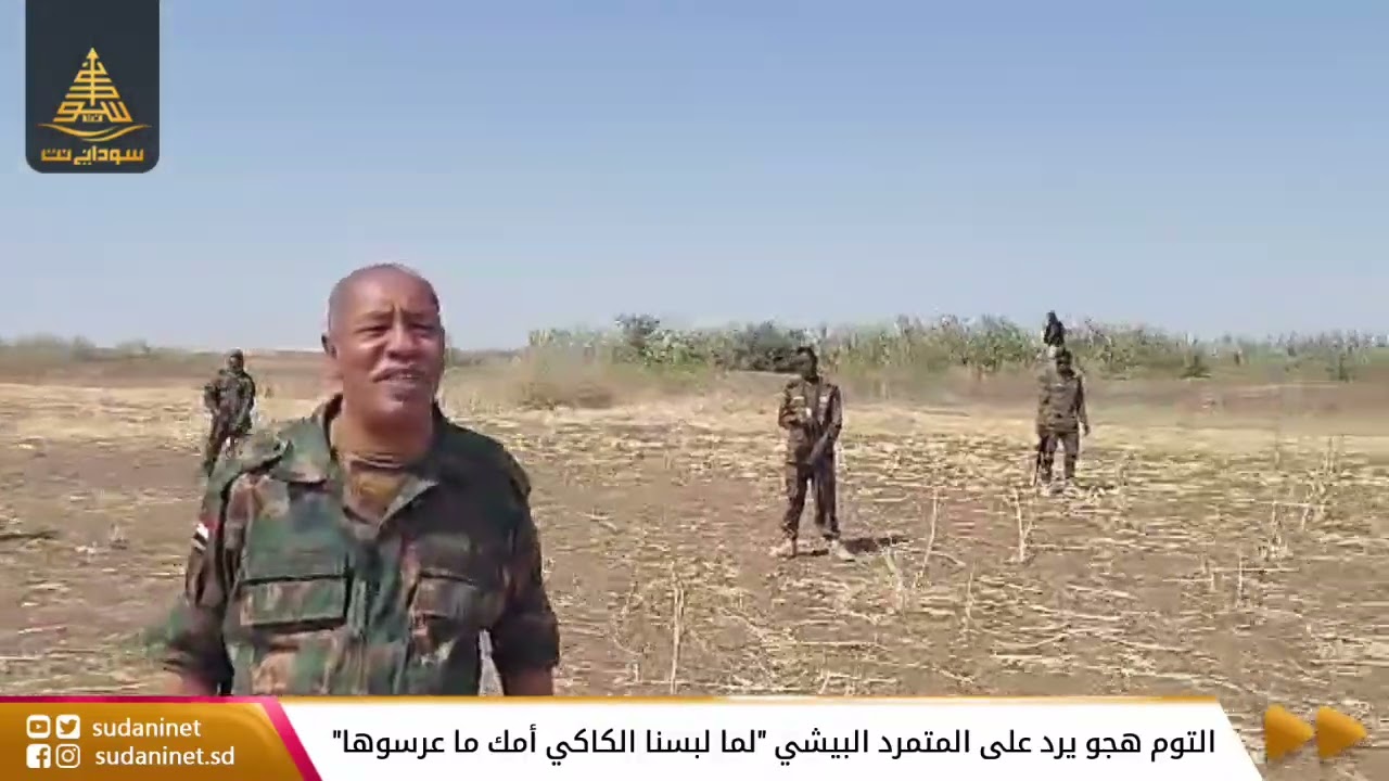 التوم هجو يرد على المتمرد البيشي 