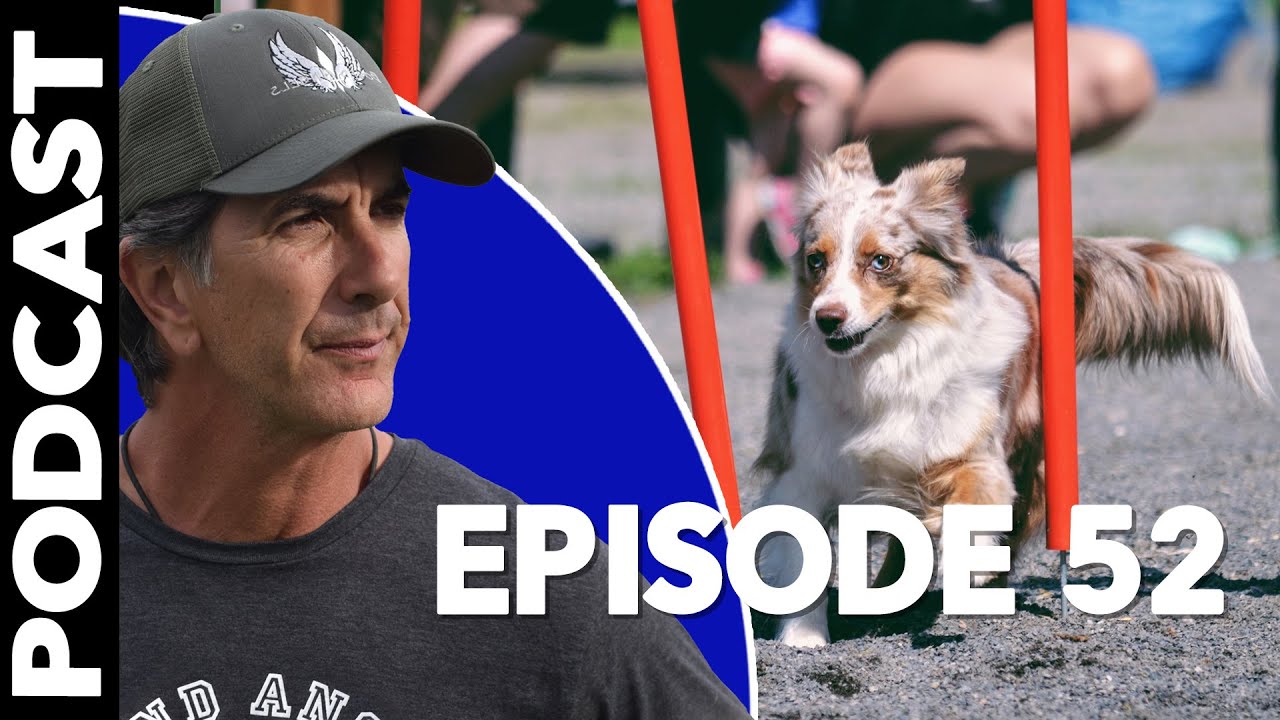 Episode 52 - Dog Sports for Any Dog - Robert Cabral Podcast