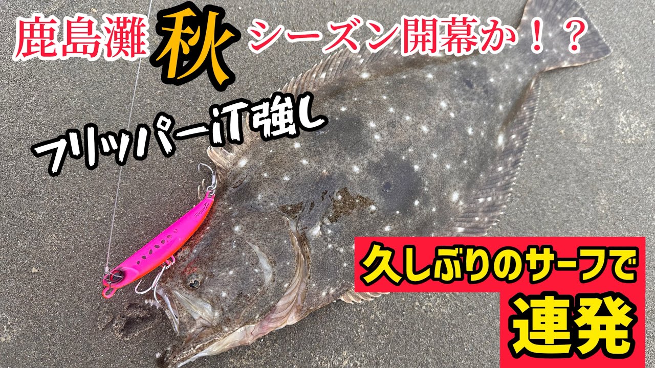 ヒラメの釣り方❗️鹿島灘サーフ攻略❗️