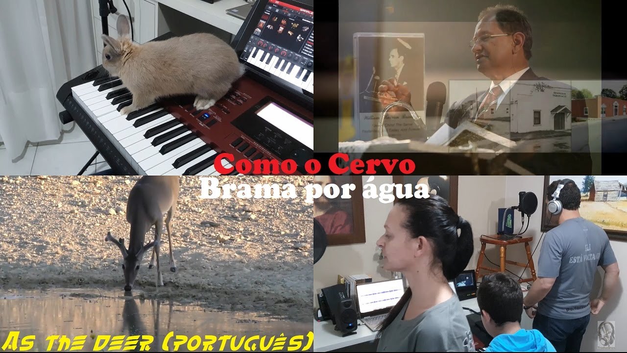 Como o Cervo Brama por Água - As the Deer (em português) - Hino Tocado no Tabernáculo Branham