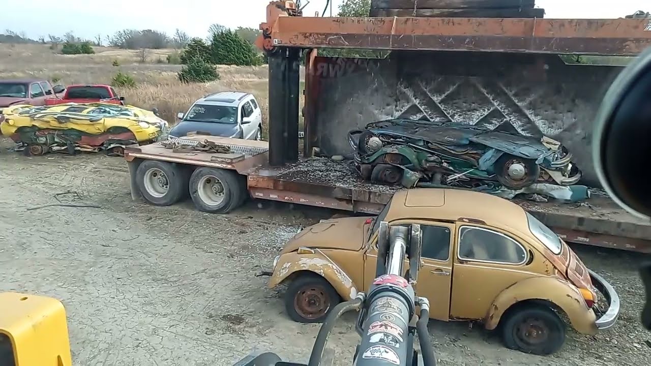 Squashing Bugs..🤠👍