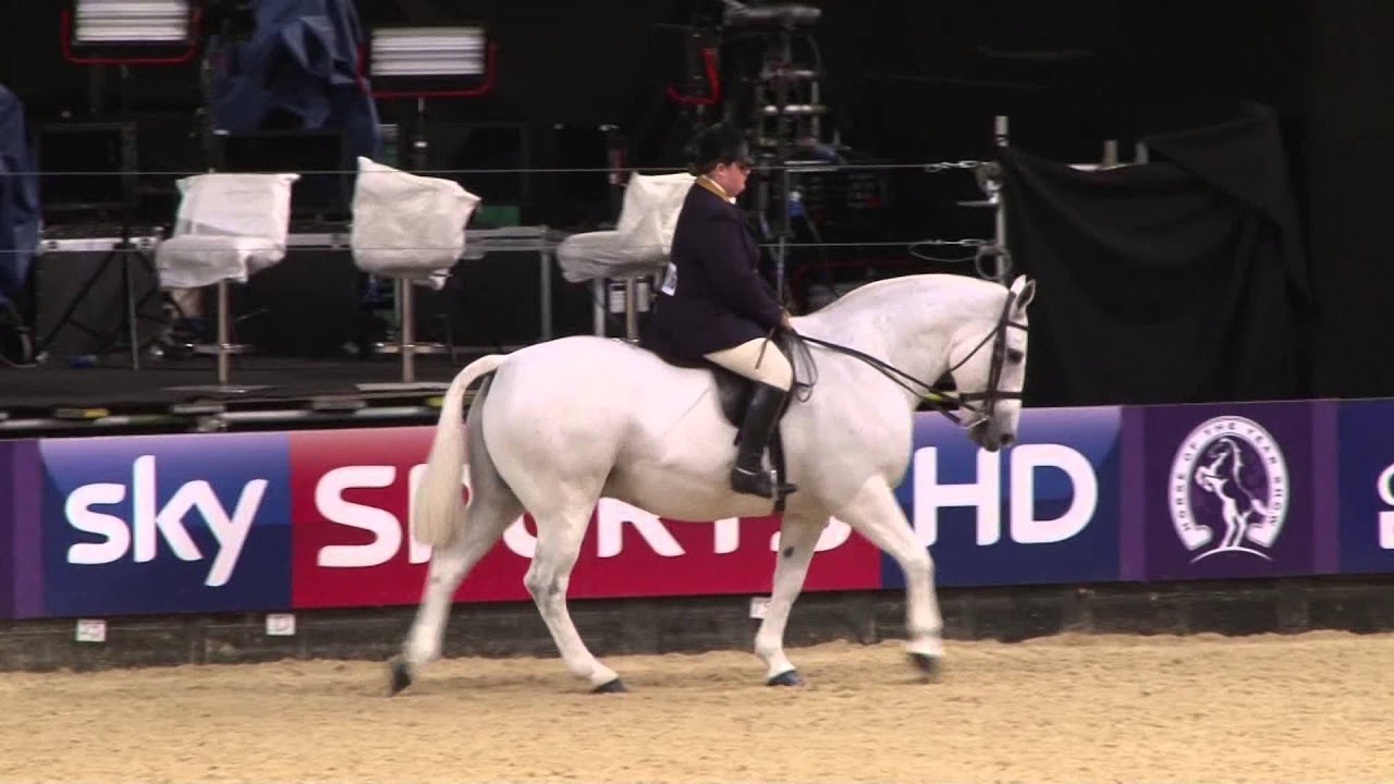 HOYS 2014 Showing Short Compilation