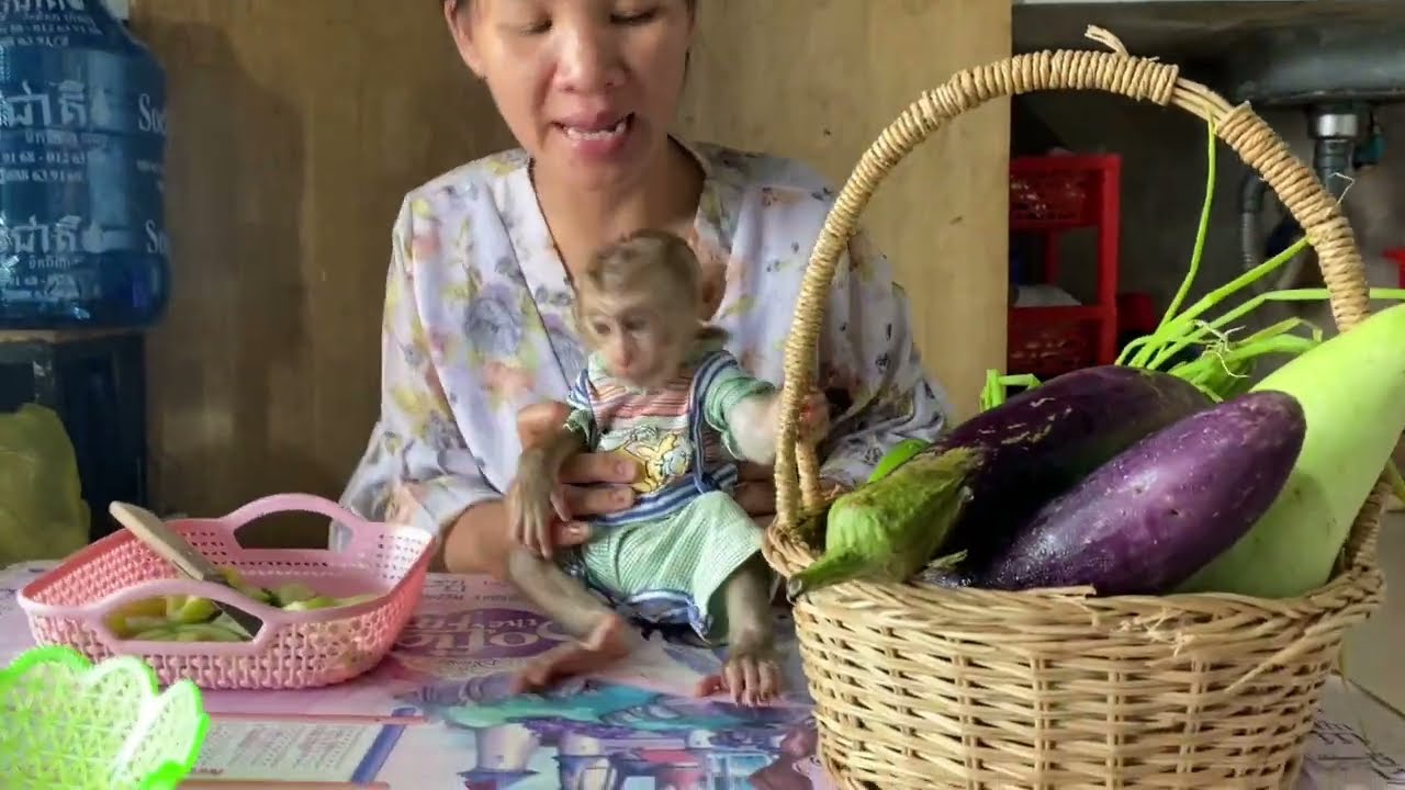 So lovely baby monkey Avatar playing alone when mom cut vegetables for cook