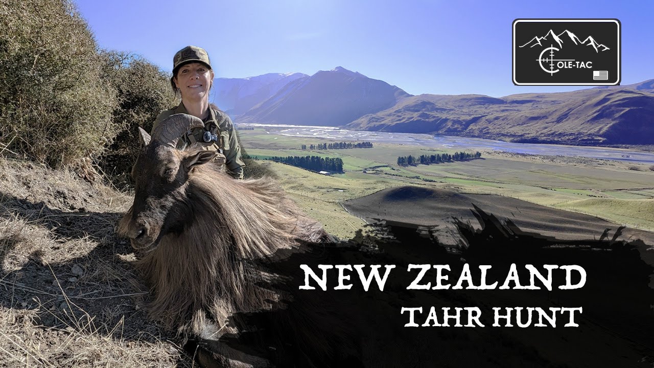 New Zealand Himalayan Tahr Hunt - Cole-TAC LLC