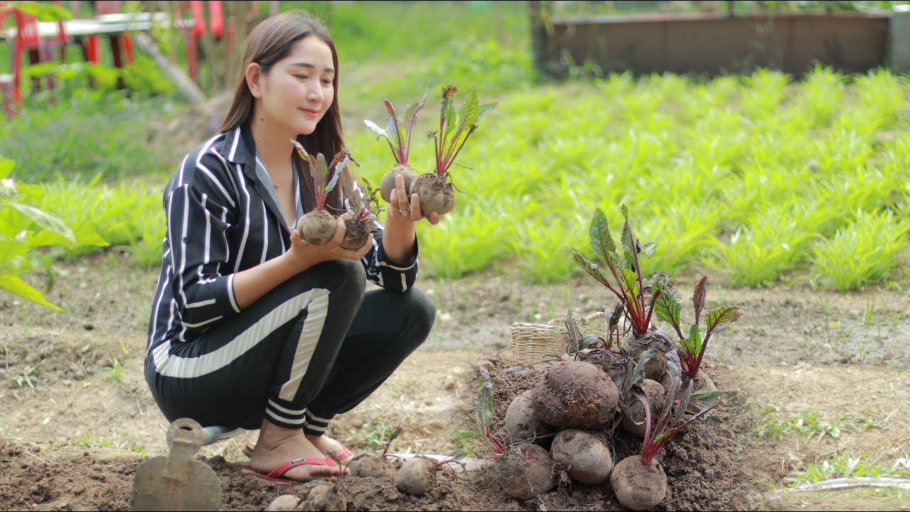 Have You Ever Seen This? Harvest And Cook Natural Beetroots