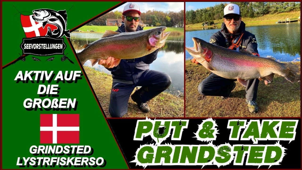 GRINSTED PUT & TAKE II LIBRA LURES II DICKE LACHSE II XXL FORELLEN II DÄNEMARK II ULTRALIGHT