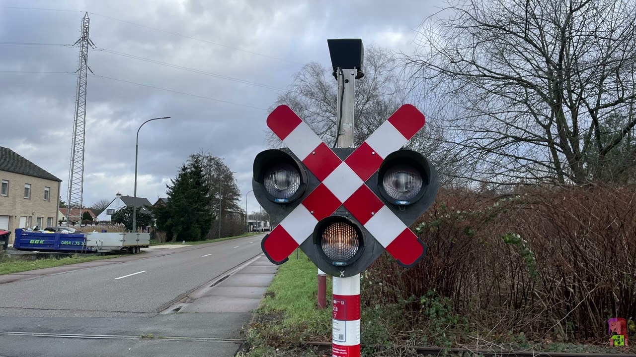 Spoorwegovergang Tessenderlo, België - 07.12.2024 / level crossing / železniční přejezd