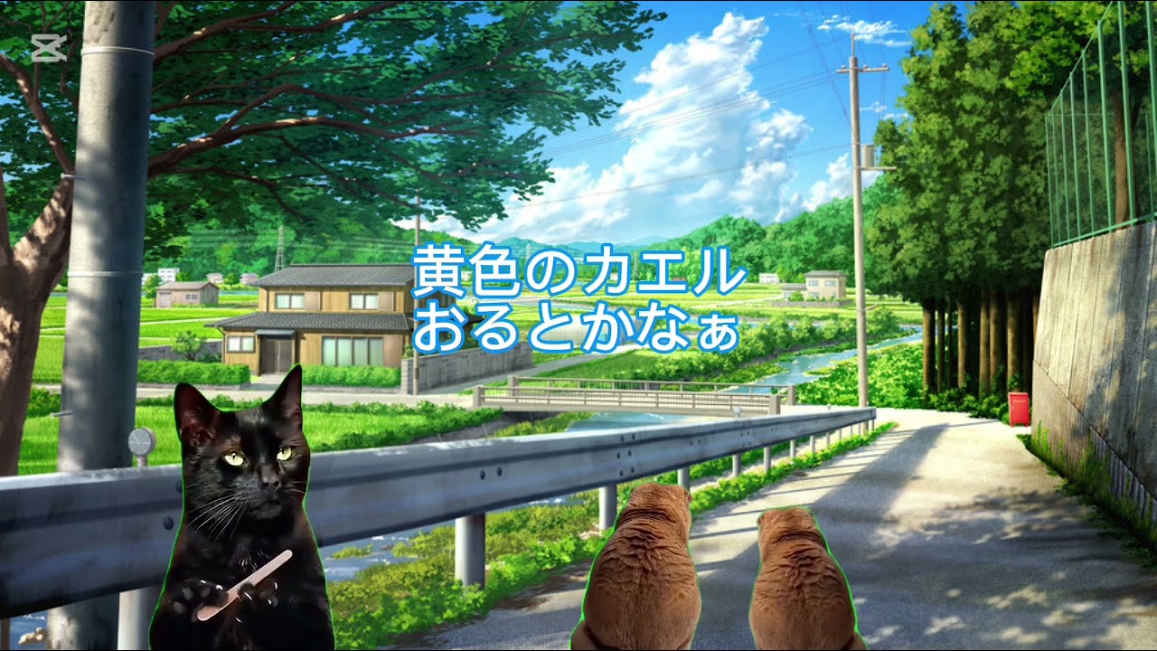 ど根性ガエルよく観てたせいで