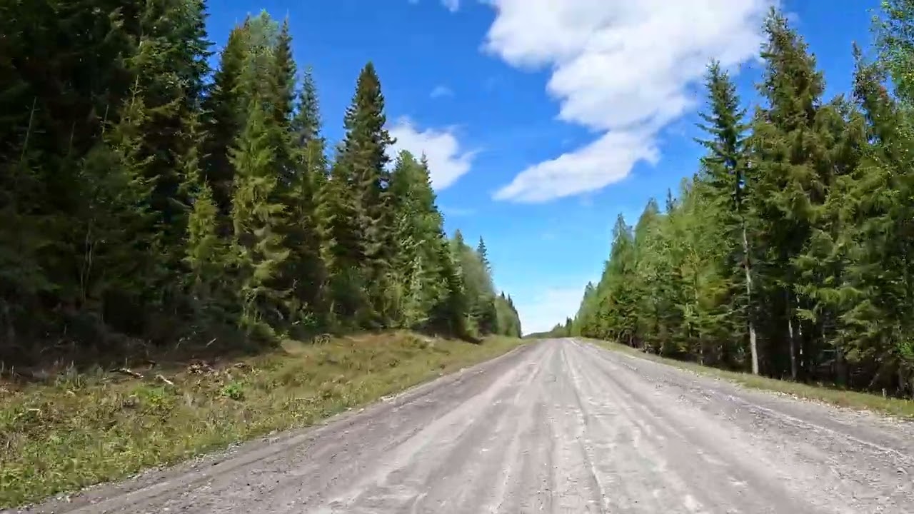 Driving Björnvägen, the bear road in Sweden, part of the Vildmarksvägen (Wilderness road).
