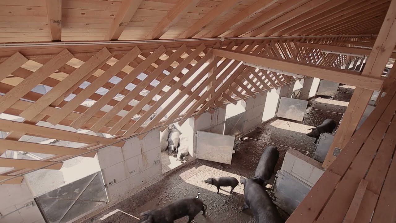 SKROZ Architecture - Black Slavonian Eco Pig Farm