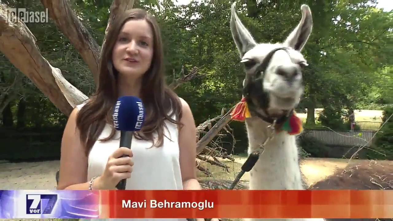 Telebasel Sommer: Kinderzoo