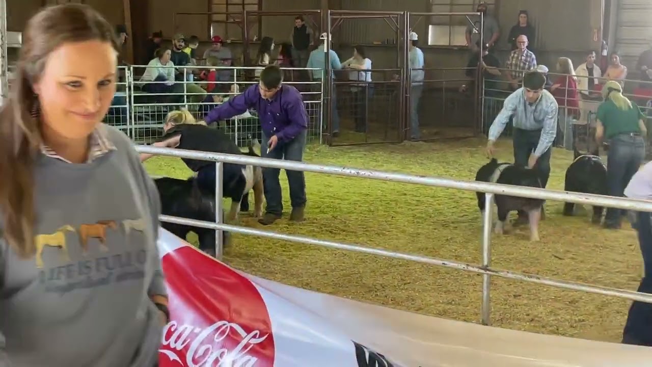 February 1, 2025 Acadiana District livestock show Emma Barrow championship