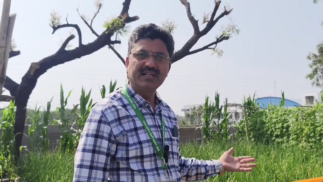 कळस कृषी प्रदर्शन 2026🍀🔝🌾🍅🌽🫑🧅
