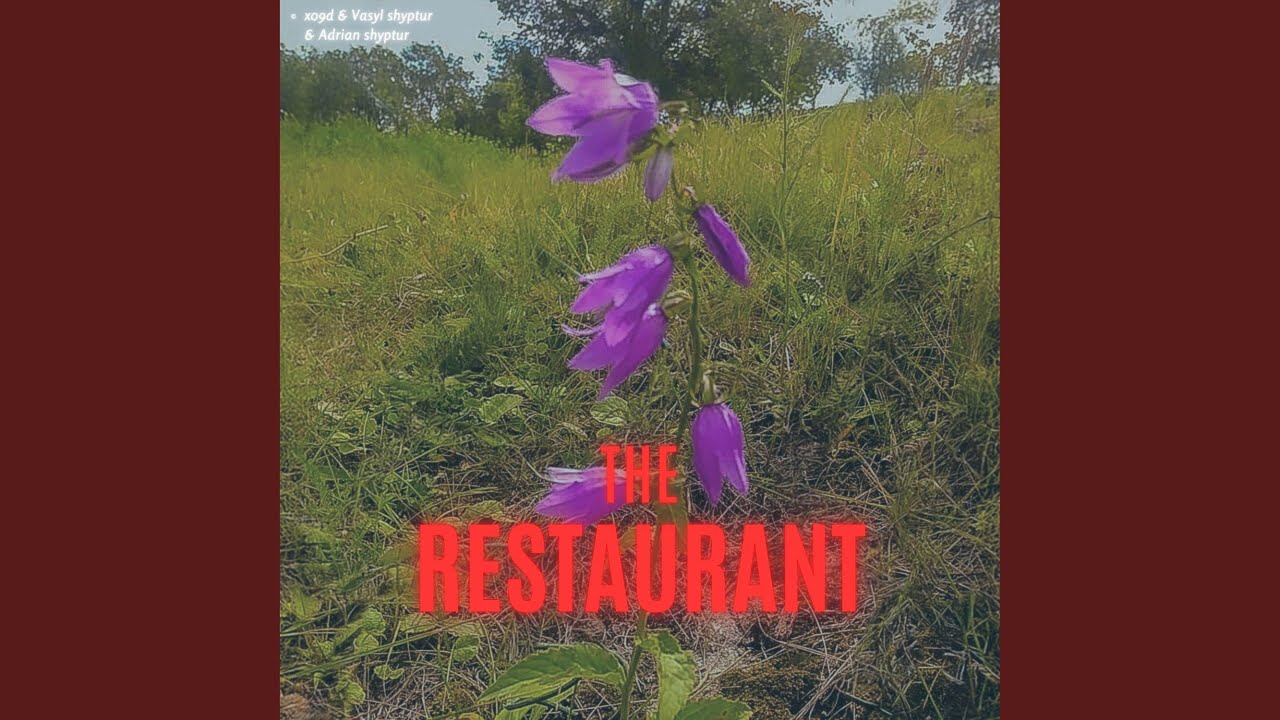 The Restaurant (feat. Adrian Shyptur & Vasyl Shyptur)