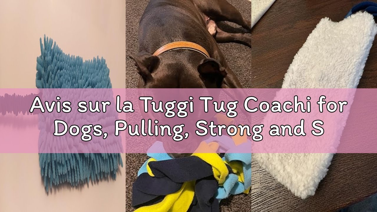 Avis sur la Tuggi Tug Coachi for Dogs, Pulling, Strong and Soft, Fun Training with Reward Great for
