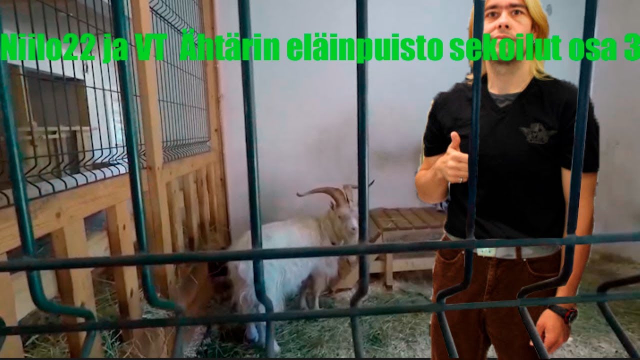 Niilo22 ja VT Ähtärin eläinpuisto sekoilut osa 3