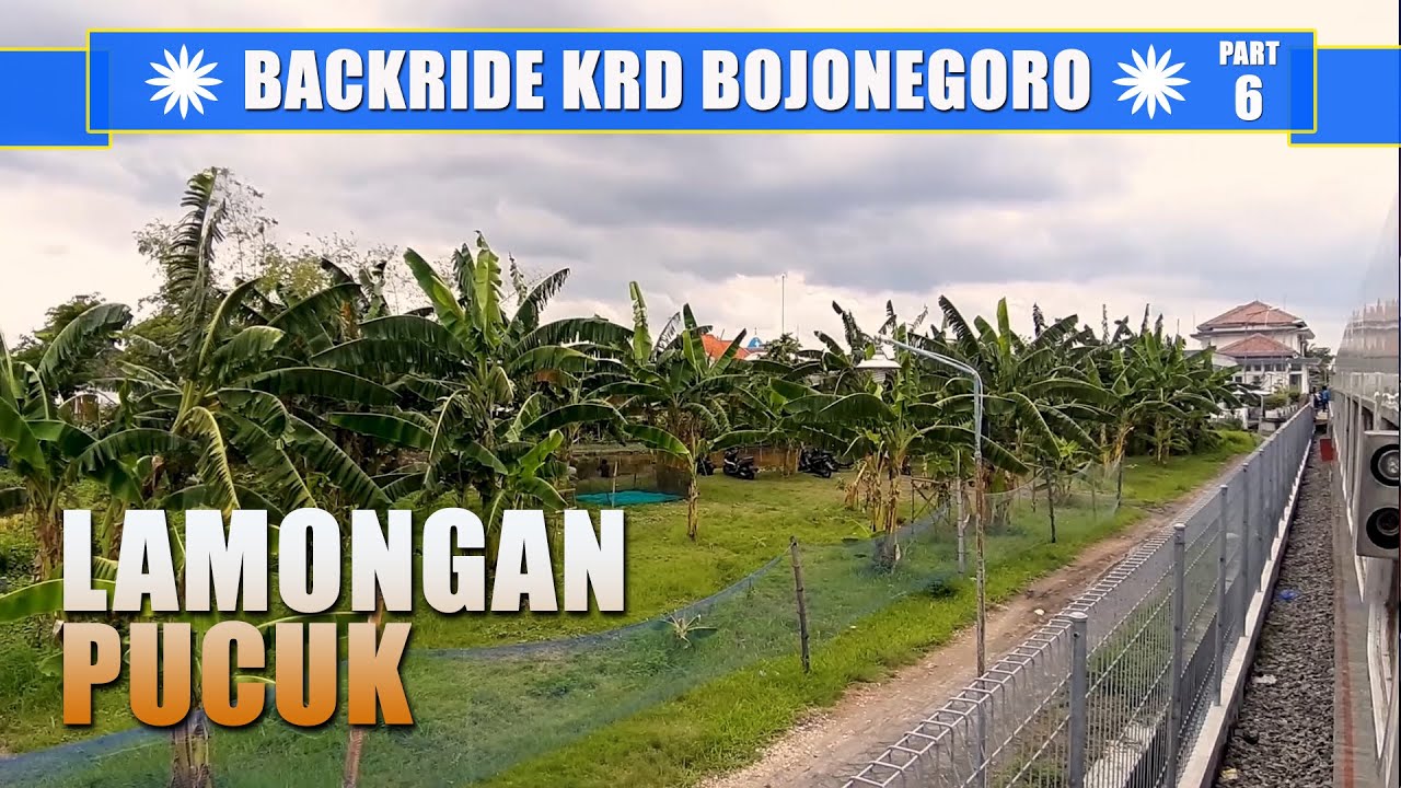 #862 Backride View | KRD BOJONEGORO (part 6/9) : Lamongan - Pucuk