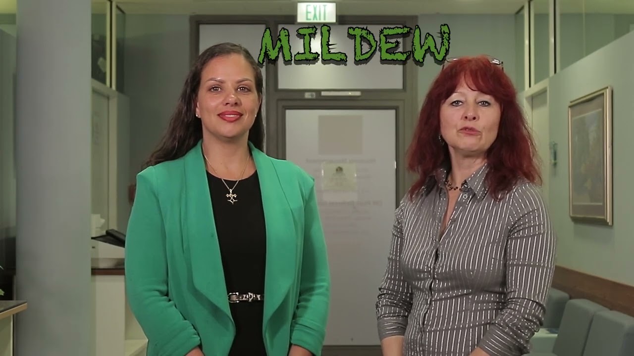 Mold Prevention