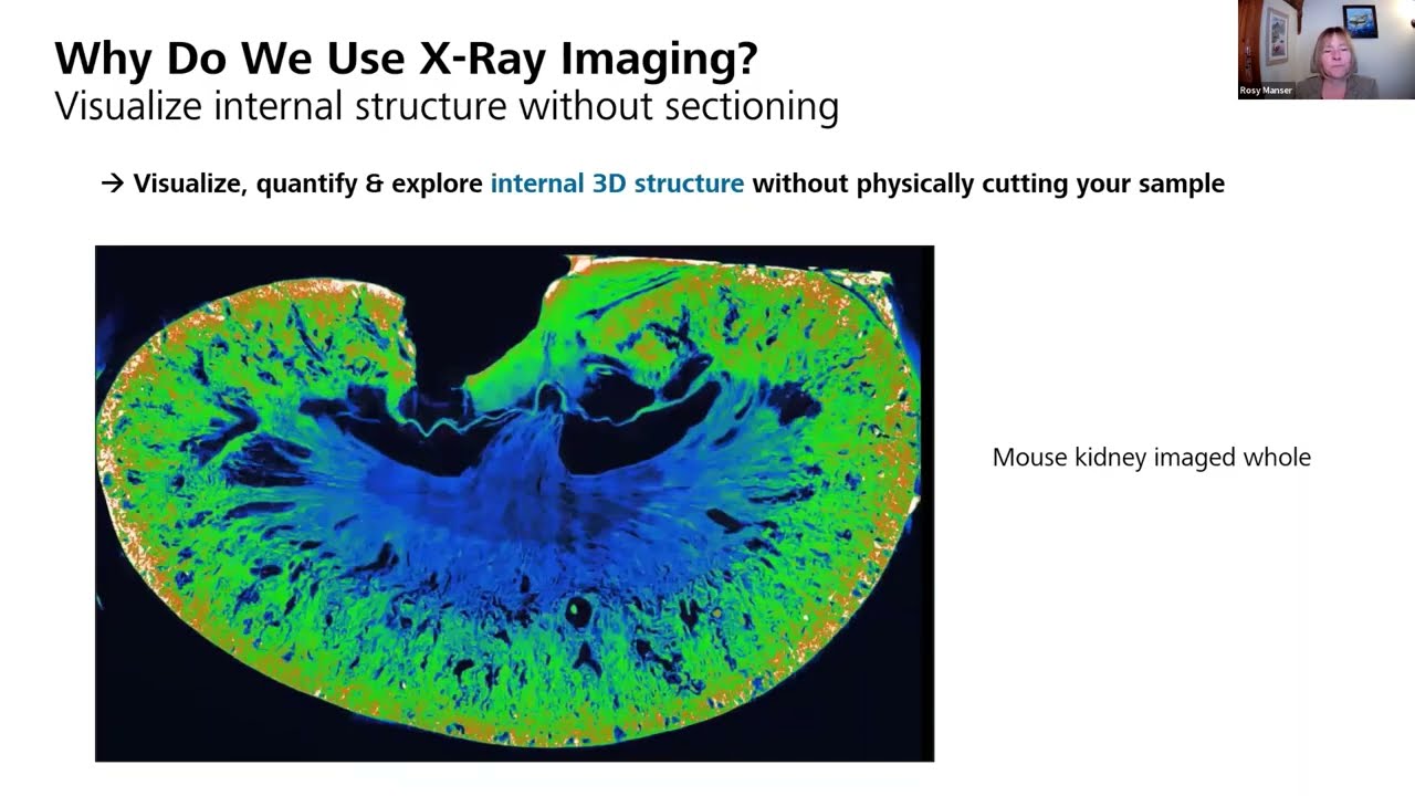 X Ray Imaging in Life Sciences