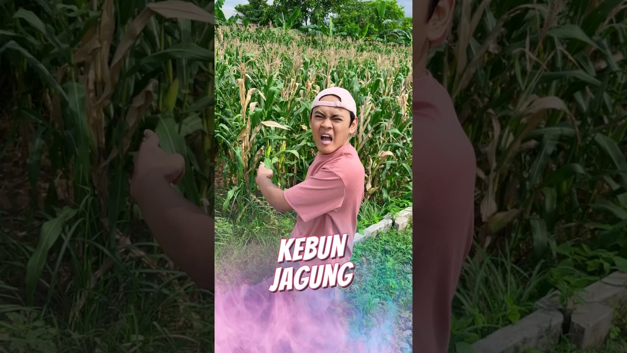Kebun Jagung 🌽