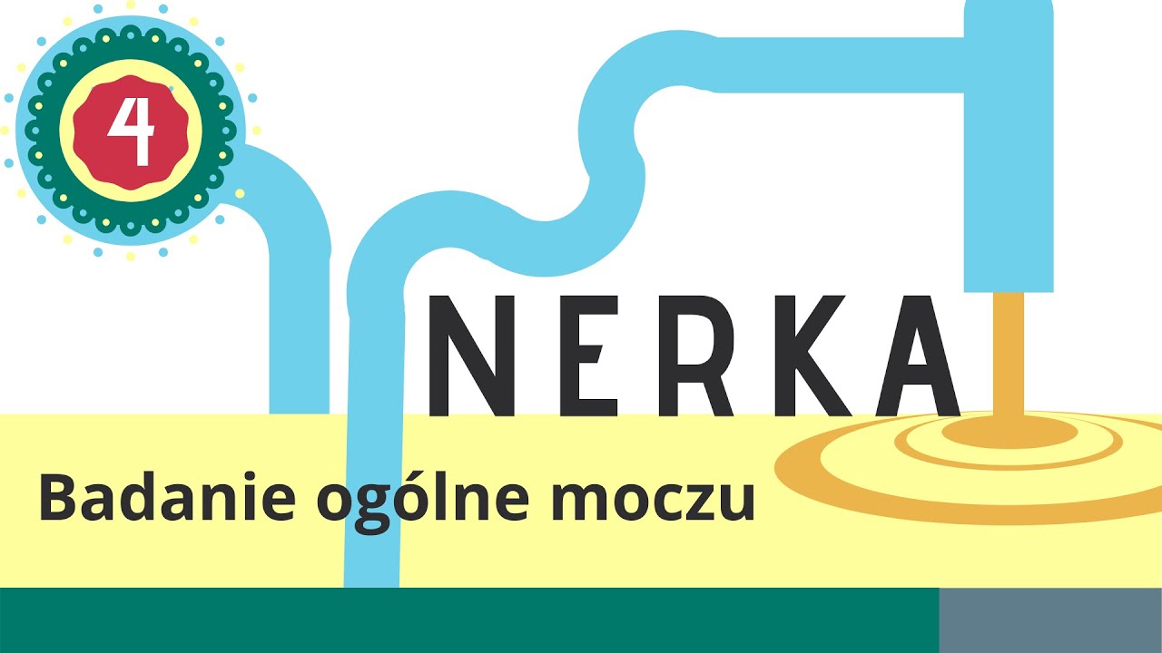 Nerka 4: Badanie og&oacute;lne moczu