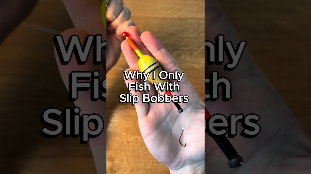 Why I only fish with slip bobbers #fishing #walleye #crappie #crappiefishing #panfish