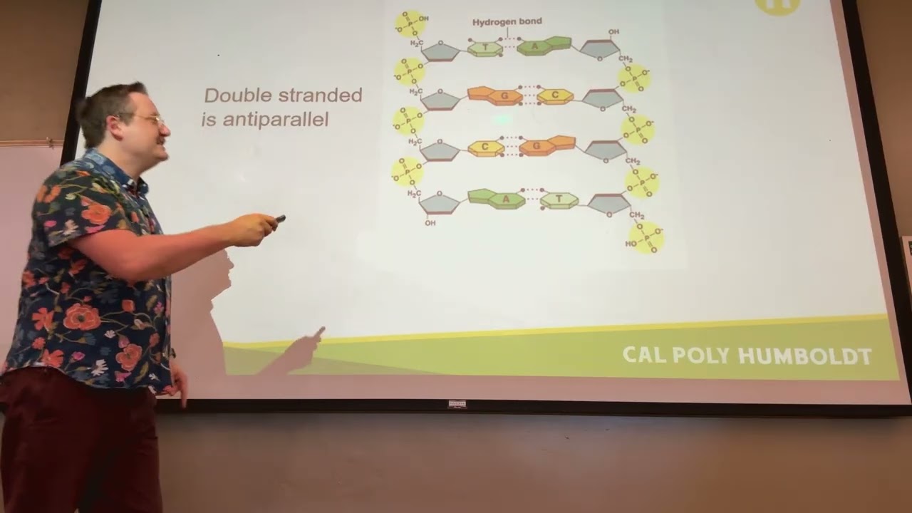 BIOL 105 Lecture 10 Spring 26