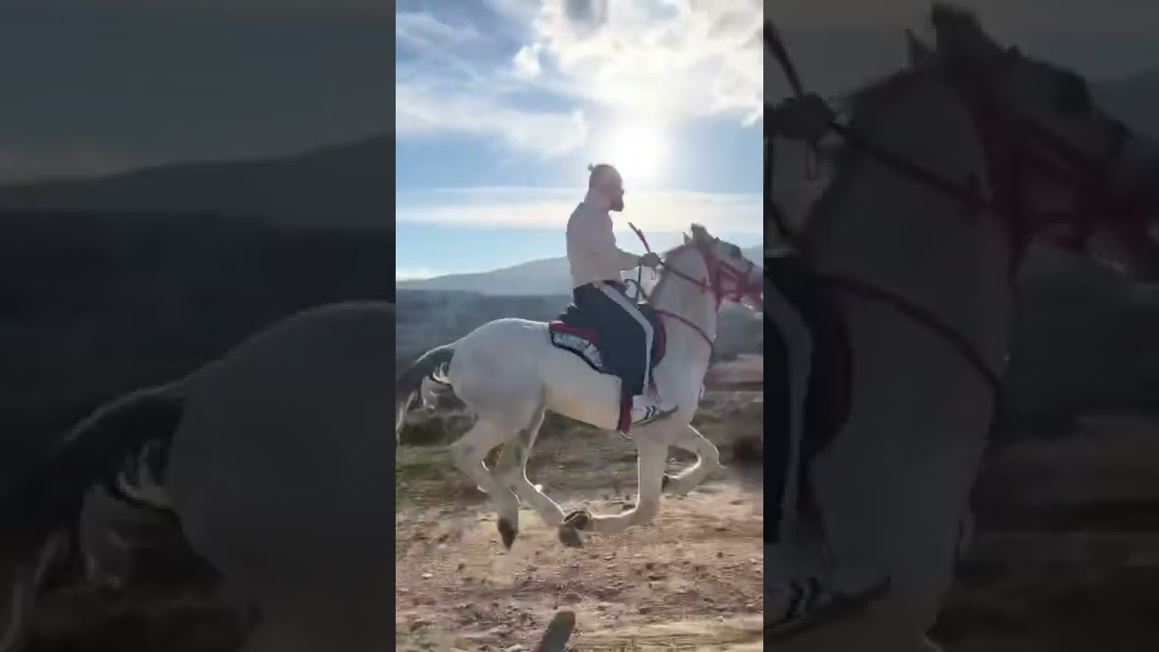Ata binmek attan d&uuml;şmek