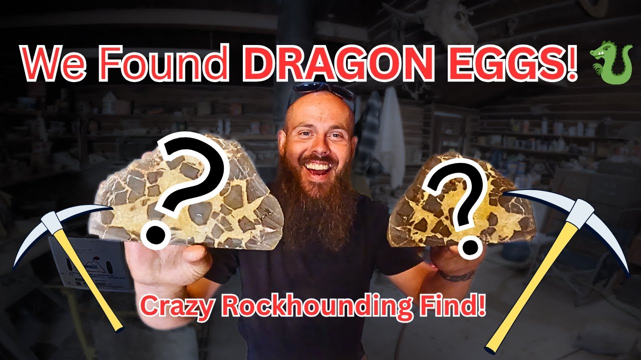 We Found Ancient “Dragon Eggs” Hidden in the Utah Desert! (Septarian Nodules)