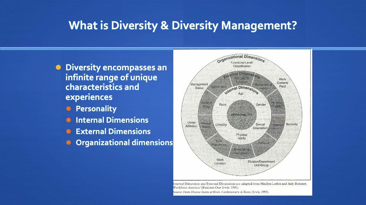 Diversity Management Part 1 with Audio