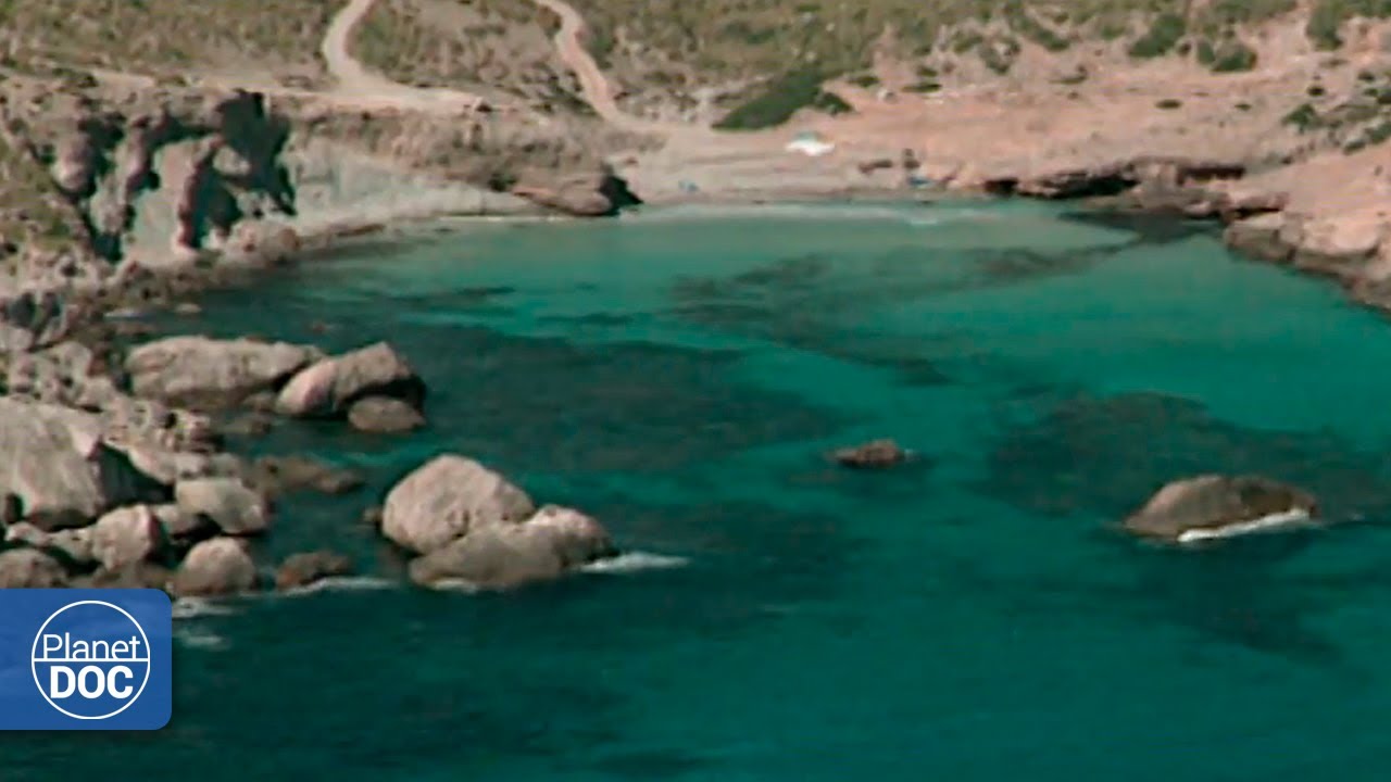 This is the Cabrera Archipelago National Park: a trip to get to know it in depth (FULL DOCUMENTARY)