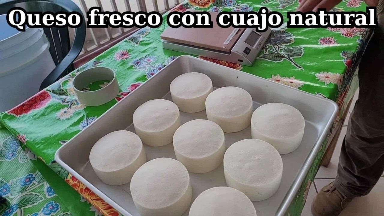 Leche de cabra para hacer queso con cuajo natural