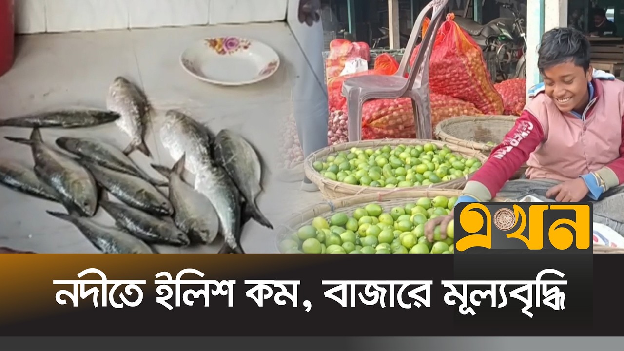 মেঘনা-তেতুলিয়ায় ইলিশ সংকট, মানিকগঞ্জের বাজারে বাড়তি দাম | Bazar News | Ekhon TV