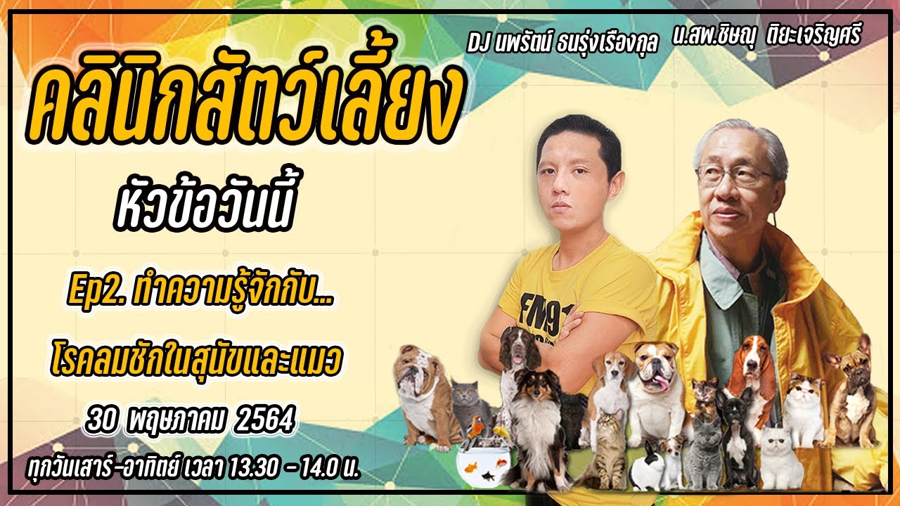 ทำความรู้จักกับโรคลมชักในสุนัขและแมว EP.2 : FM91 คลินิกสัตว์เลี้ยง : 30 พฤษภาคม 2564
