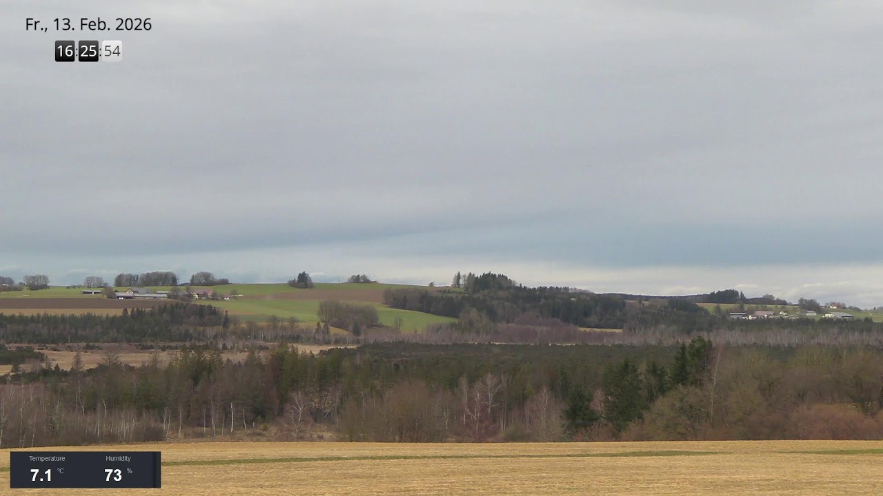 2026 02 13 Wurzacher Ried