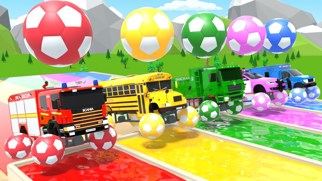 Bébé Requin + Bingo + La Chanson Les Roues du Bus – Véhicules Colorés ! – Comptines pour Bébé