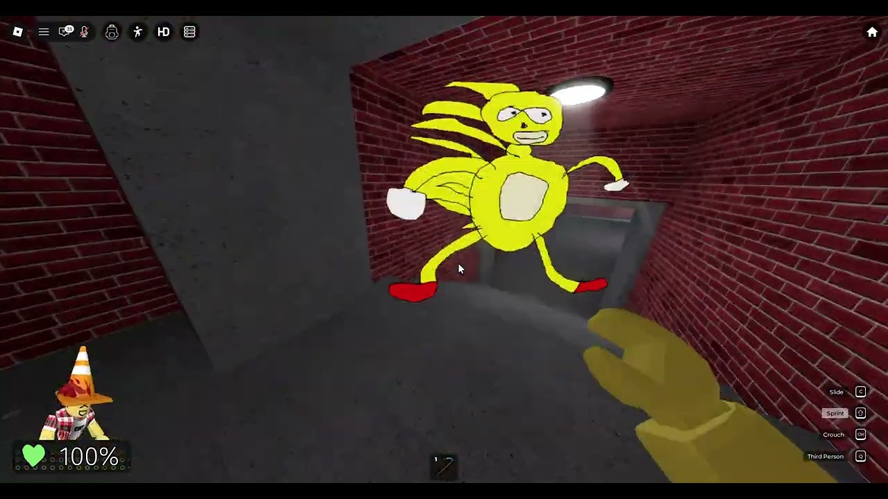 Sanic Chase