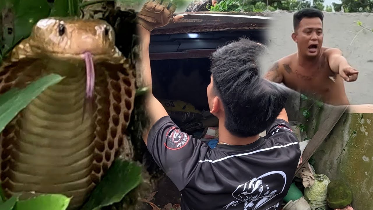  MGA COBRA NA PUM4PAT4Y SA SANPABLO LAGU A