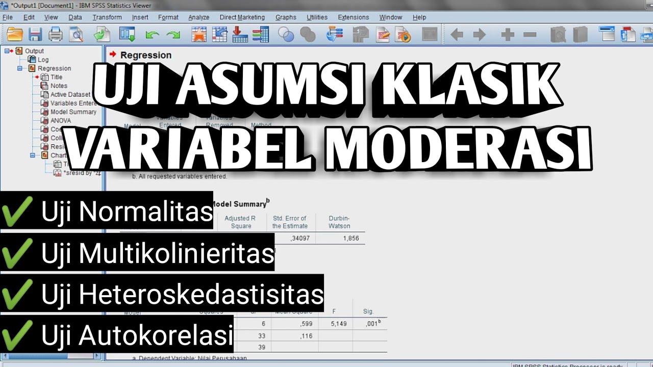 UJI ASUMSI KLASIK VARIABEL MODERASI DENGAN SPSS
