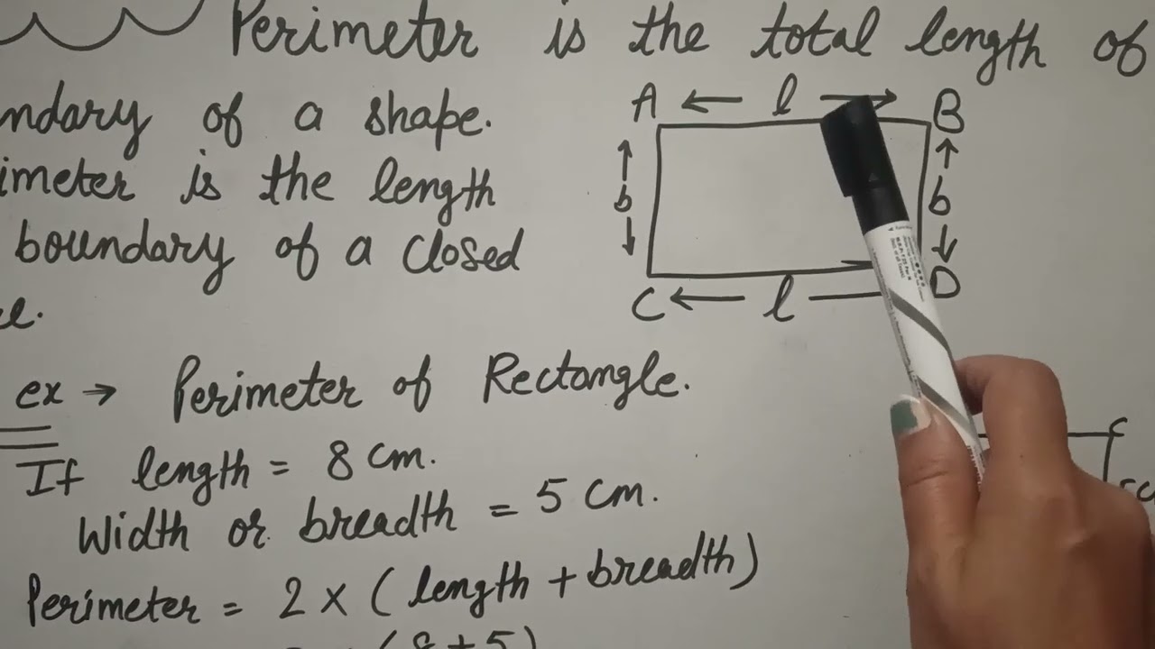 Perimeter and area full concept in less than 6 minutes
