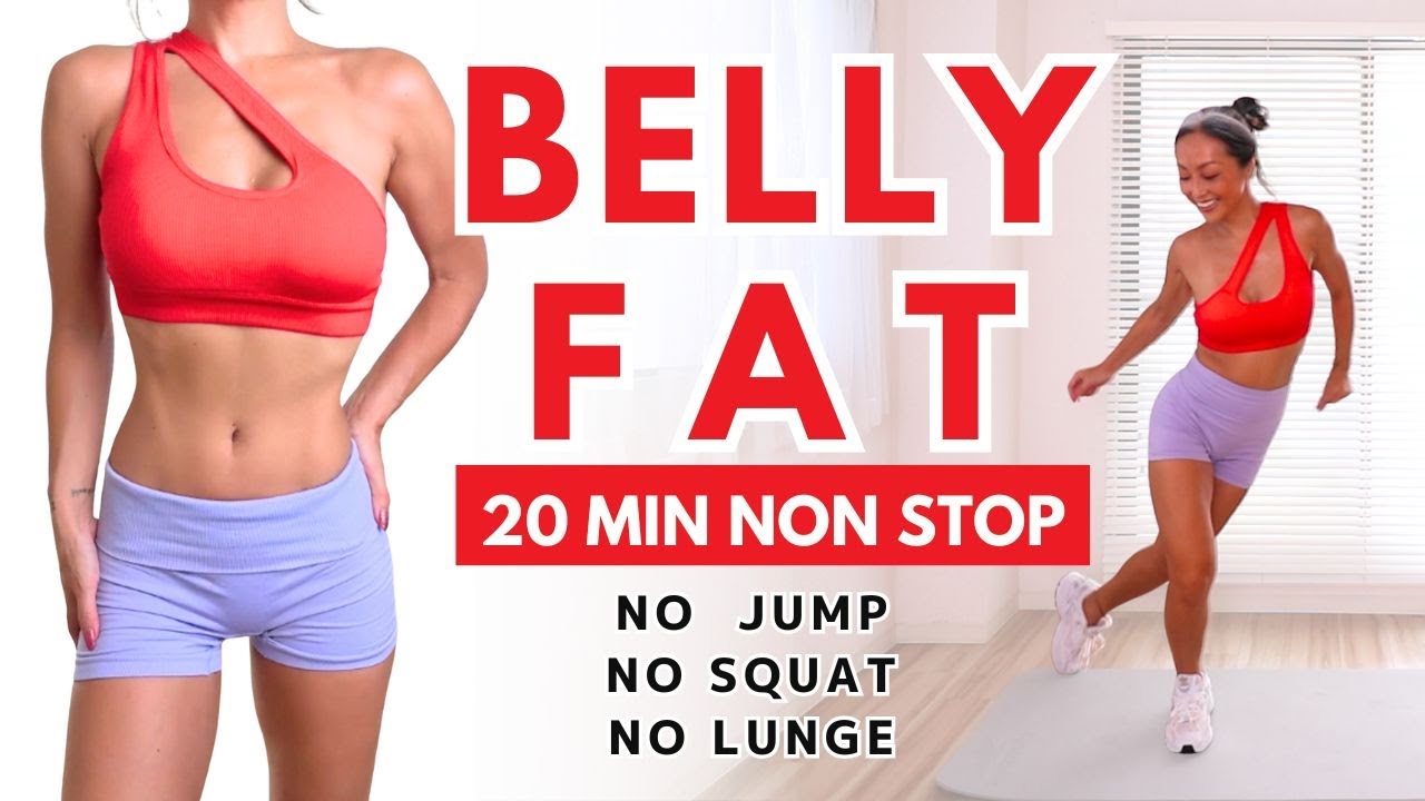 BELLY FAT BURN 20MIN / No squat, No jump, No Lunges